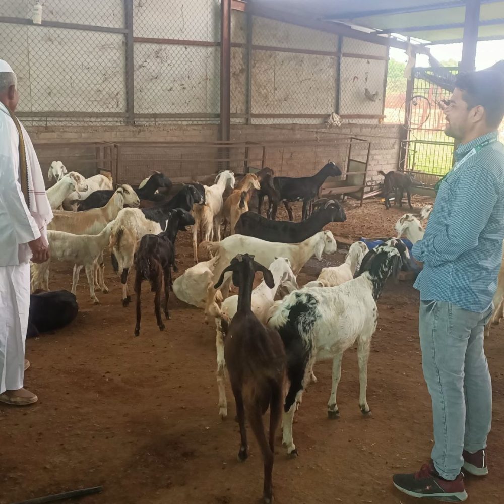 Livestock development hands-on trainings